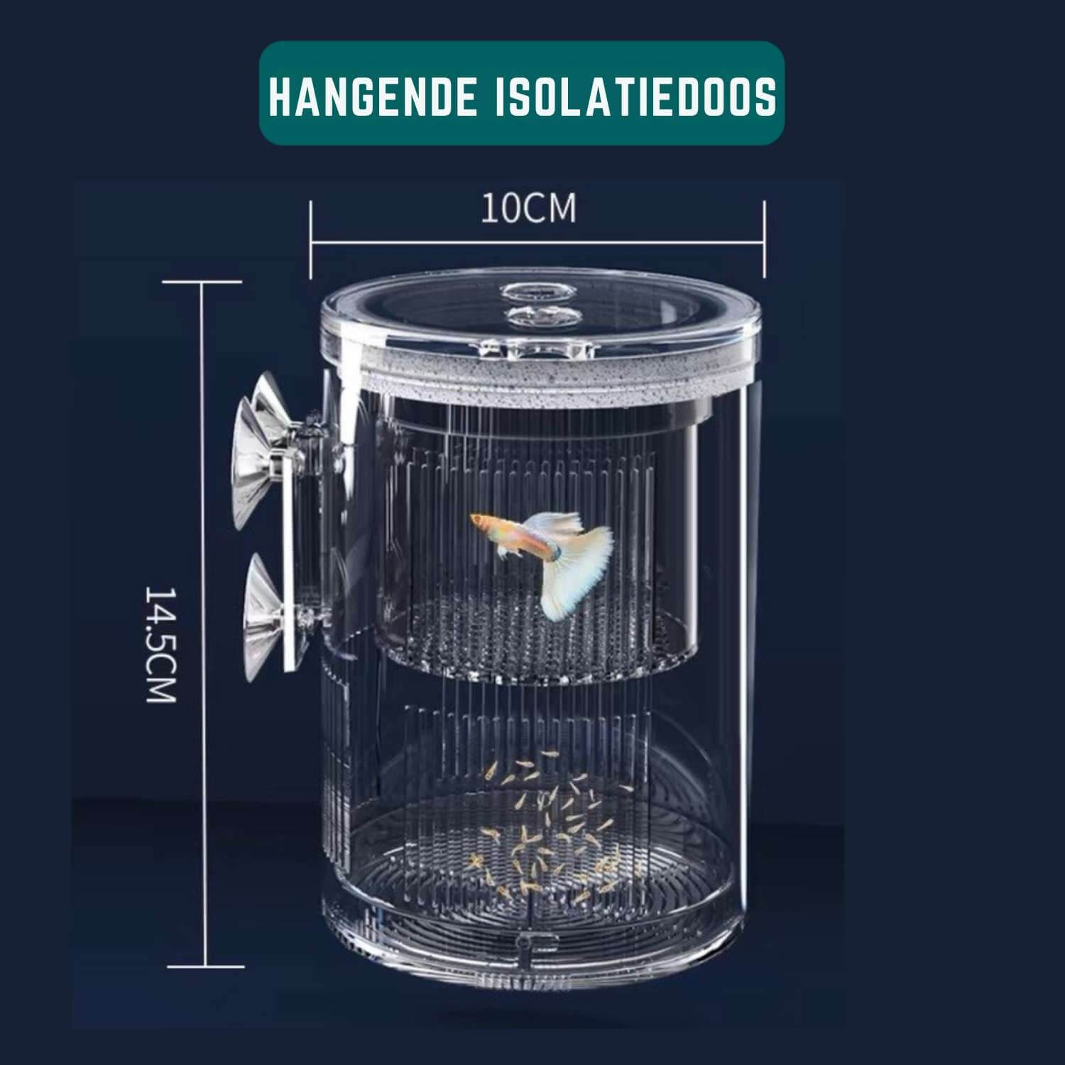 Acryl Kweekdoos Afmetingen